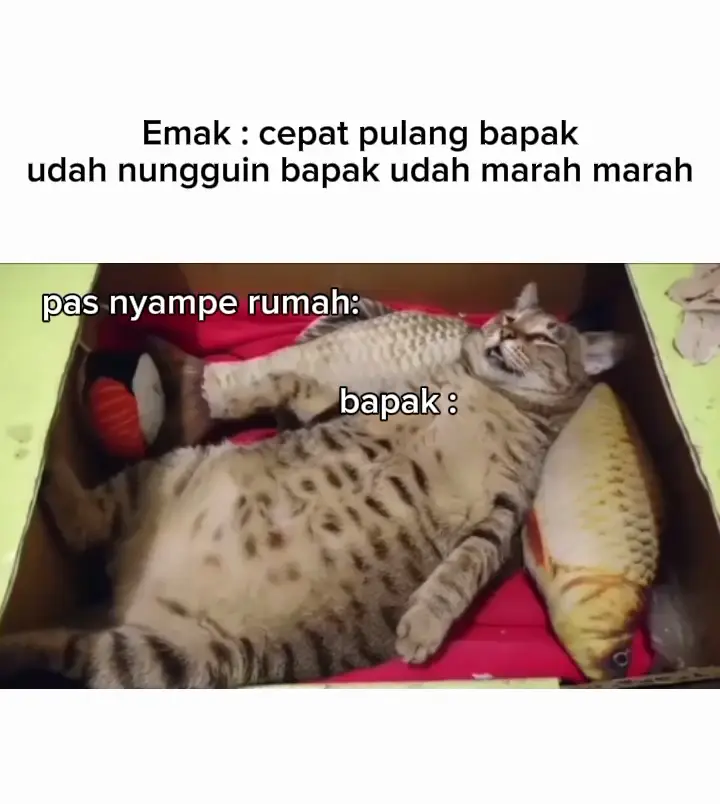 pembohongan🗿 #bapak #emak  #meme #lucu  #ngakak #fyppppppppppppppppppppppp 