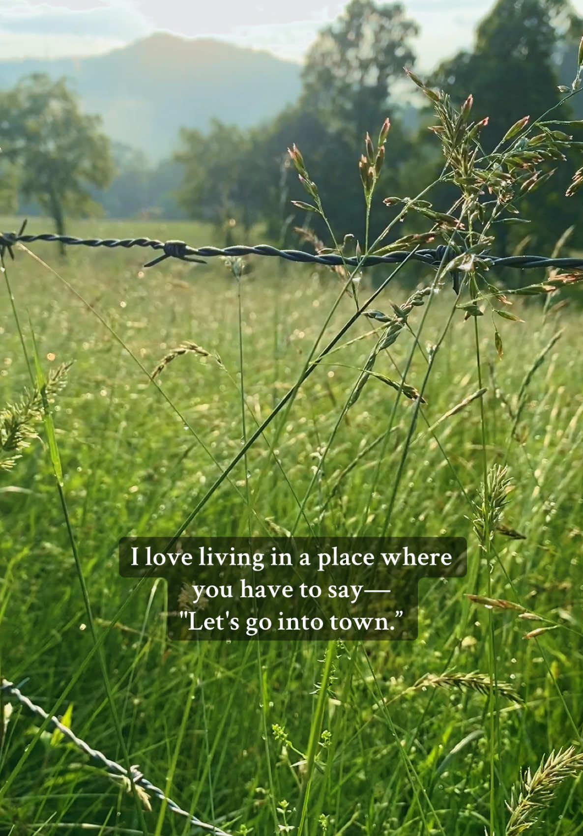 less people, more view  #westvirginia #rurallife #appalachia #appalachianmountains #appalachian 