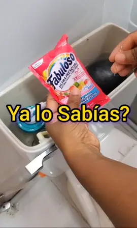 lococa una bolsita de esta en el tanque del inodoro...#limpieza #trucos #reelviral #reels #viralvideos 
