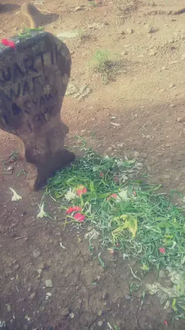 alfatihah untukmu ibu🤲🤲 😭😭😭