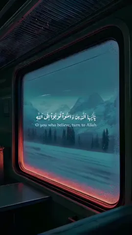 #احمد_عبدالرازق_نصر #يا_ايها_الذين_امنو_توبو_الى_الله💗 #كنوز_القرآن🍂 #قرآن_کریم #quran #quran #راحه_نفسيه 