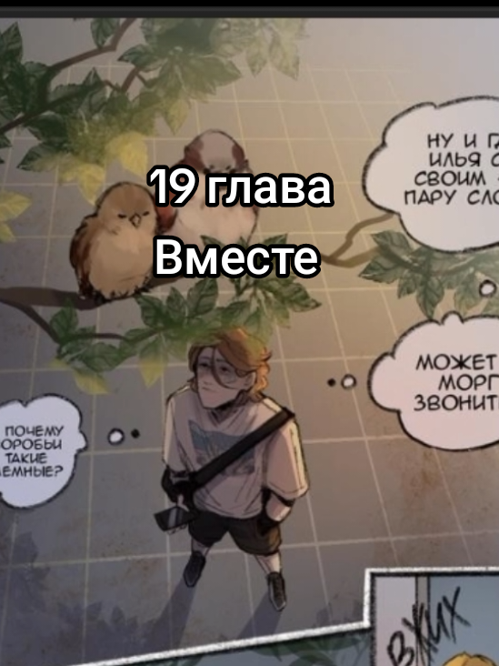 Тгк: Лес у берега #Вместе #ИльЮры #волейбол 