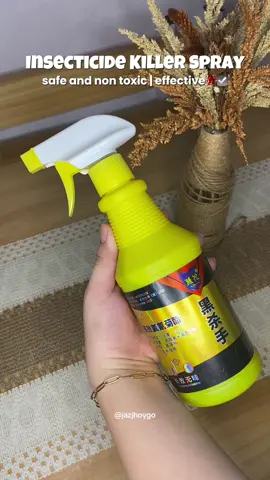 Totoo ang Chismis! Worry no more na ako sa mga langaw at langgam. #insectisidespray #insectspray #insectrepellant 