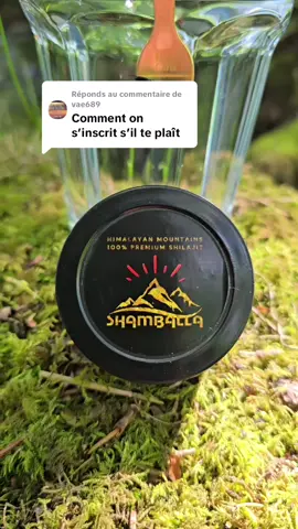 Réponse à @vae689 Comment acheter le Shilajit Shamballa en Polynésie ? #🇵🇫  #tahiti #papeete #shilajit  #PolynesieFrancaise #FrenchPolynesia #Fenua #ArchipelSociete #IlesDuVent #IlesSousLeVent #Tahiti #Moorea #Maiao #Mehetia #Tetiaroa #BoraBora #Raiatea #Huahine #Tahaa #Maupiti #Mopelia  #Manuae #Tuamotu #Rangiroa #Fakarava #Manihi #Tikehau #Ahe #Makemo #Anaa #Arutua #Kaukura #Takapoto #Takaroa #Hao #Nukutavake #PukaPuka #Napuka #Reao #Tureia #Fangatau #Hereheretue #Raroia #Taiaro #TepotoNord #TepotoSud #Tematangi #Vahitahi #Vairaatea #Apata #Apataki #Amanu #Faaite #Fakahina #Fangataufa #Hiti #HitiNui #Katiu #Makaroa #Marokau #Mataiva #Moruroa #Niaou #Nihiru #Nukutepipi #Paraoa #Pukarua #Reitoru #Rikitea #Taenga #Tahanea #Takume #Tatakoto #Tepoto #Tikei #Toau #Tuanake #ArchipelMarquises #Marquises #MarquesasIslands #NukuHiva #HivaOa #UaPou #UaHuka #Tahuata #FatuHiva #Eiao #Hatutu #Motane #MotuOneMarquises #ArchipelAustrales #Australes #Tubuai #Rurutu #Rimatara #Raivavae #RapaIti #Marotiri #ArchipelGambier #Gambier #Mangareva #Aukena #Akamaru #Taravai #Temoe #Agakauitai #Kamaka #Manui #MariaEst #Papeete #FaaA #Punaauia #Papara #Mahina #Teahupoo #Taravao  #HitiaaOTeRaa #MooreaMaiao #Vairao #Papetee #Mataiea 