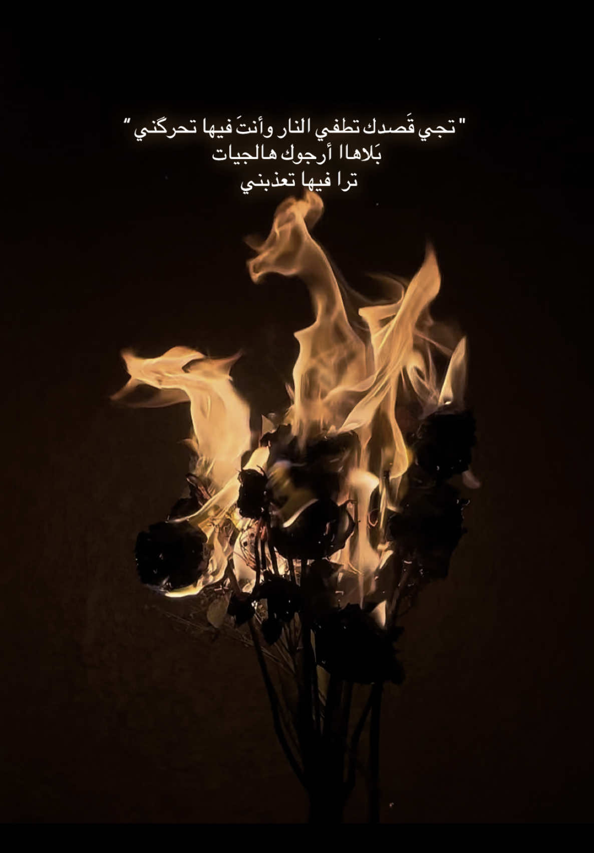 بلاهااا أرجوك #explore #ذكرى #ذكرى_محمد #نار #بدون_هاشتاق 