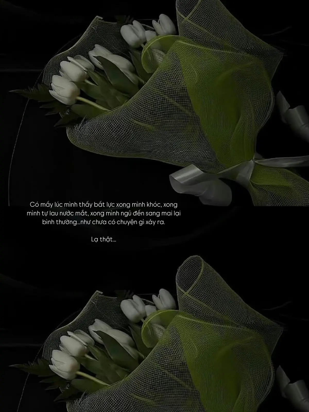 Đại lộ của những giấc mơ năm 20 tuổi là quá nhiều áp lực và suy nghĩ phải thành công …..mình cảm thấy mệt vì điều đó.