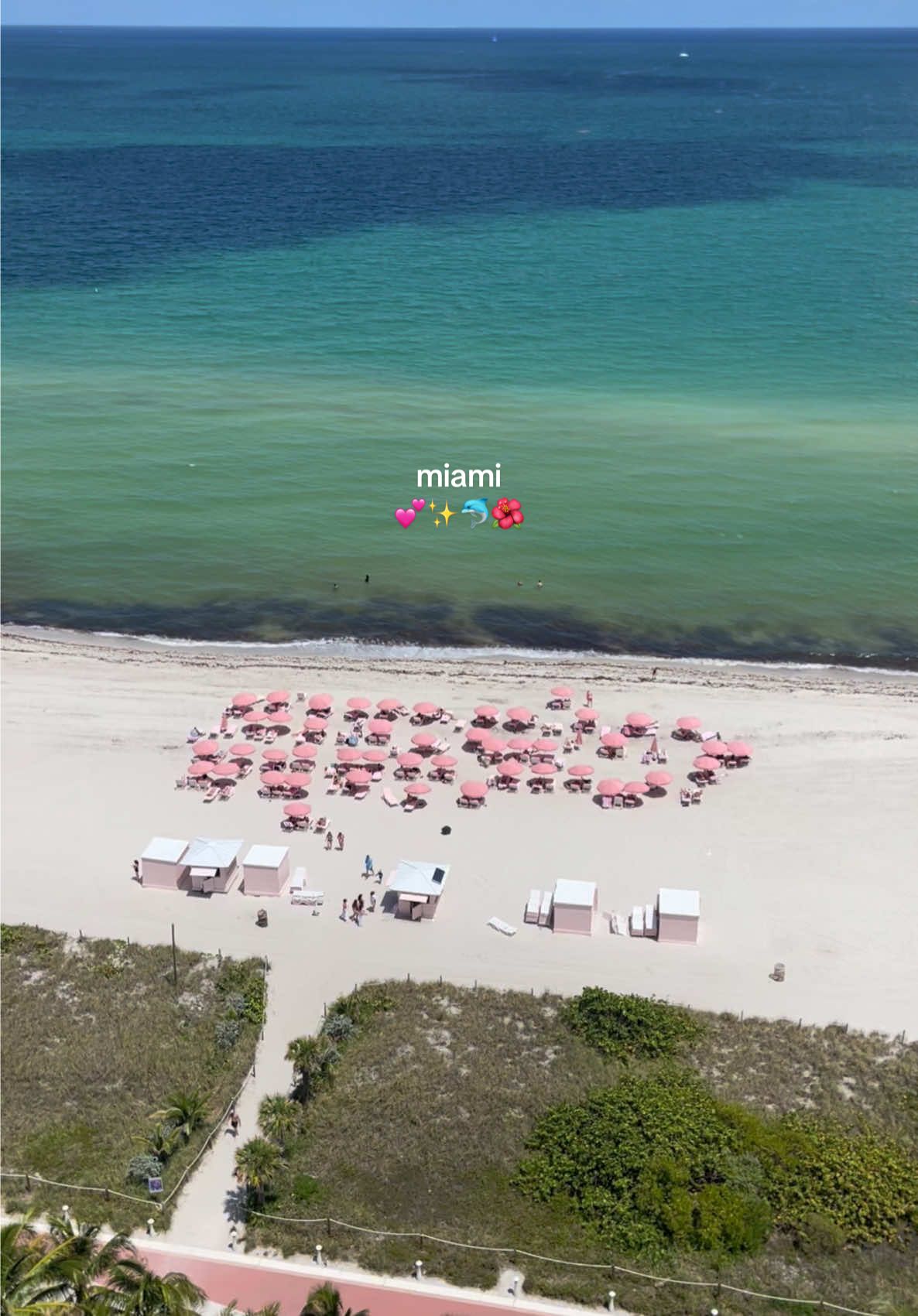 Miami appreciation post 