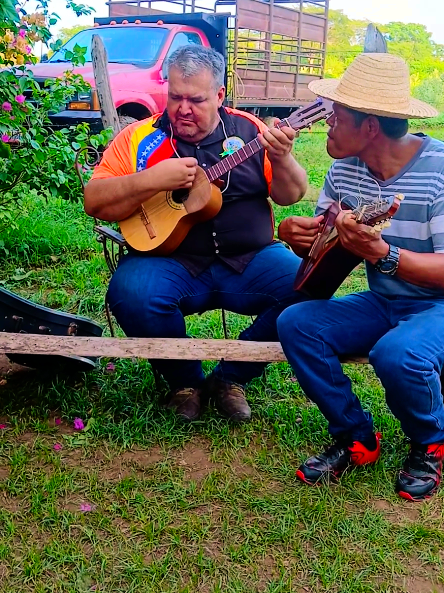 El Sonido de un instrumento que une a toda una región con su manifestación Folclórica, el golpe yabajero, las montañas de la Cordillera qué comparten Miranda, Anzoategui y Guarico fueron el lugar que escogió la musa de la música para regalar esta belleza a la humanidad... Bandola Cordillerana y su golpe Yabajero #folklore  #bandola #Bandolacordillerana #venezuela🇻🇪  #Música #músicavenezolana 