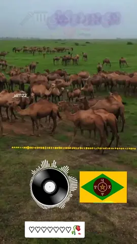 #tchad🇹🇩_libye🇱🇾_niger🇳🇪_algerie🇩🇿 #tchad🇹🇩_libye🇱🇾_niger🇳🇪_algerie🇩🇿 #tchad🇹🇩_libye🇱🇾_niger🇳🇪_algerie🇩🇿 
