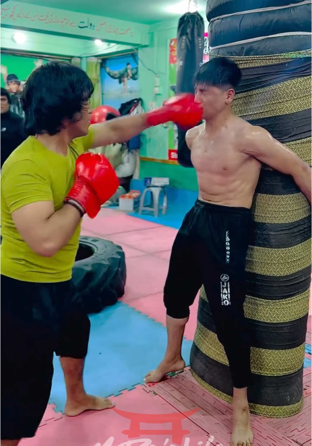 How you know it’s time for a new gym YouTube.com/McDojoLife @Firecracker Farm  EVERYTHING IS BETTER 🔥 WITH HOT SALT See for yourself at Firecracker.Farm (10% off code: McDojo) #martialarts #McDojo #McDojoLife 