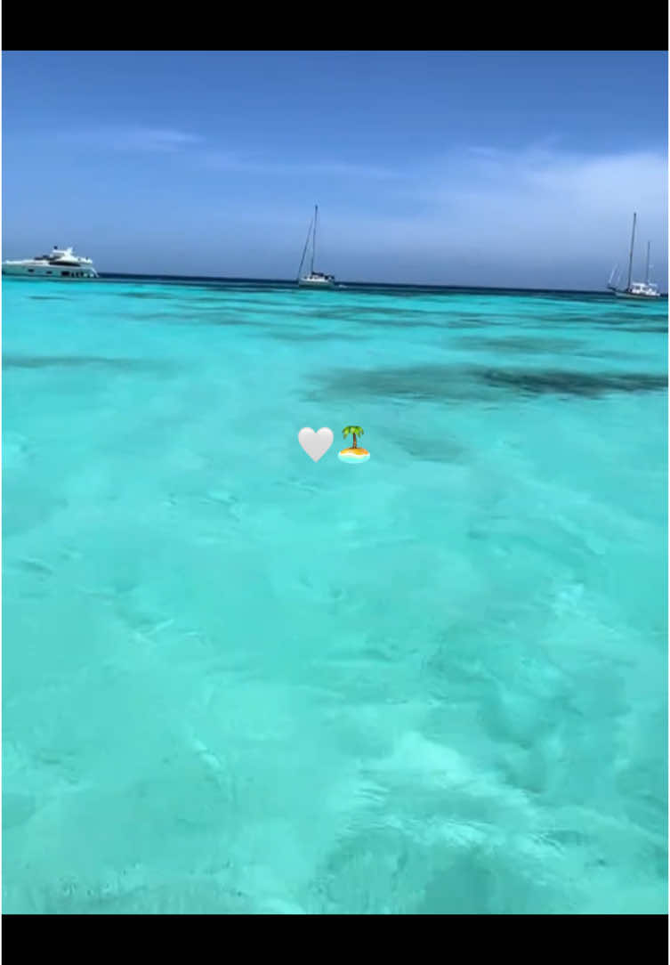 Contigo yo quisiera naufragar🏝️🪗#miguelmorales #vallenato #musicavallenata #vallenatosdeoro #vallenatosromanticos #losdiablitos #vallenatoconsentimiento #