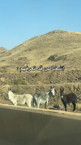 #حركة_إكسبلور #explore #تيك_توك #السعودية🇸🇦 #ترند #اكسبلورexplore #اغوى_كويتيين🇰🇼 #fyb #سفر #النرجسية 