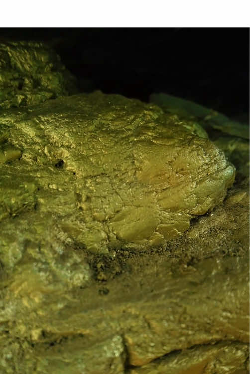 #gold #treasure #hunting #treasurehunt #diamond #goldpaning #goldnugget #usa 