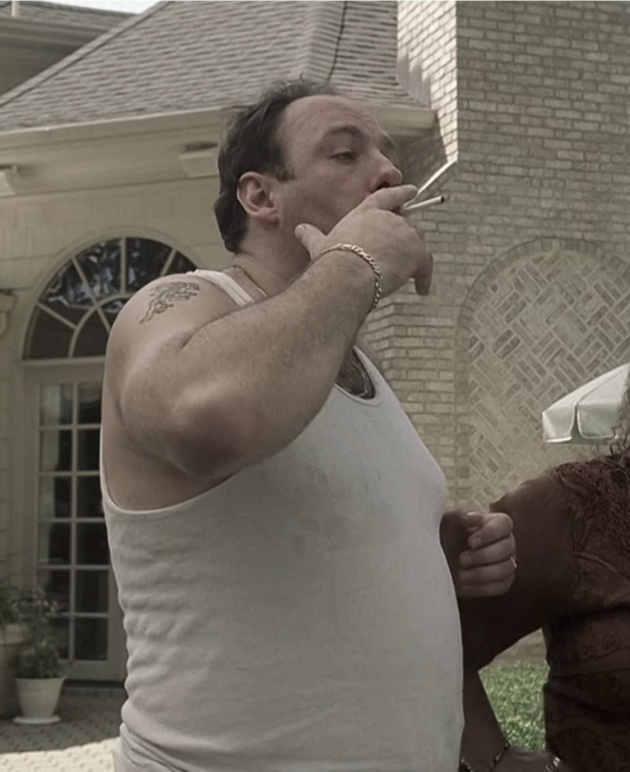 #tonysoprano #tonysopranoedit #thesopranos #thesopranosedit #sopranos #soprano #foryoupage #explore 