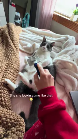 It’s a love hate relationship with the brush #fyp #fypシ #fypage #fypagetiktok #fypシ゚viral #fyppppppppppppppppppppppp #fypp #fypシ゚ #fypツ #fyppp #fypdongggggggg #cat #catsoftiktok #cats #catlover #cattok #catmom #kitty #kittycat #kittycatsoftiktok #kittys #kittytok #kittylover #kittycats #kittykat #kittysoftiktok #funny #funnyvideos #funnytiktok #funnycat #funnycats #funnycatsoftiktok #funnycatsoftiktok #funnycatvideos #cute #cutecat #catbrus #catbrush #catbrushing #brush #brushes #look #looking #lookin #eyes #samara 