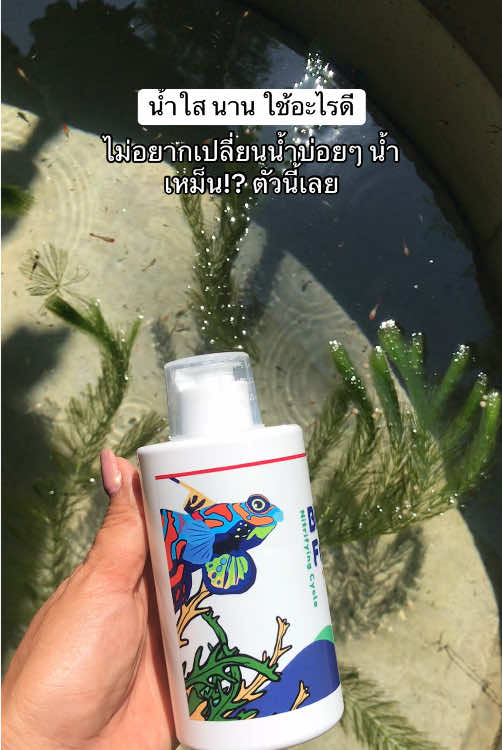 จุลินทรีย์น้ำใส BioFresh น้ำใส #จุลินทรีย์ตัวดี #จุลินทรีย์ #ใช้ดีบอกต่อ #จุลินทรีย์ปรับสภาพน้ํา #เลี้ยงปลา #ปลาสวยงาม #ขึ้นฟีดเถอะ #tiktok#TikTokShop #fyp 