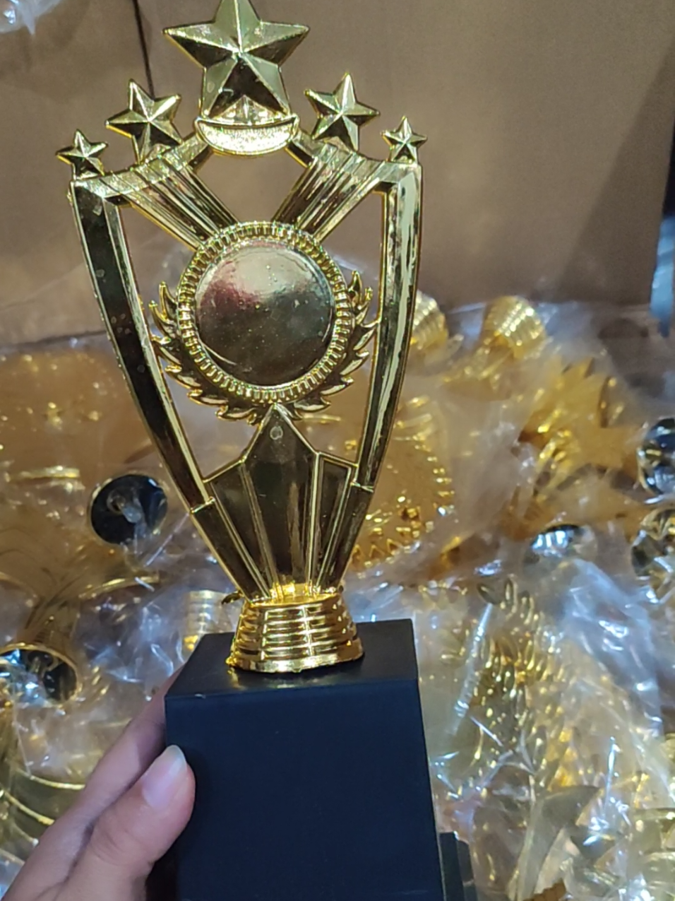 Piala Model No.14 #piala #pialamini #pialamurah #trophy 