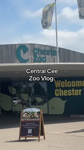 MORNING 😭 #fyp #foryou #central #cee #Vlog #zoo #uk #trending #viral #funny #rap 