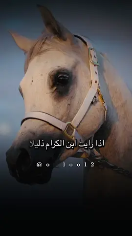 #أكسبلور_شعر_حكم_خواطر 