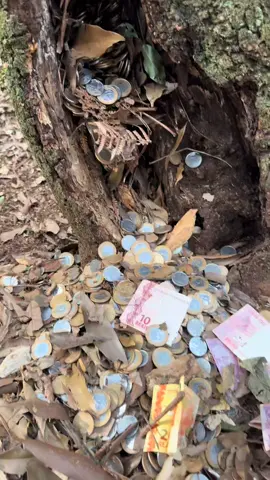 #money #poland🇵🇱 #1millionaudition #foryoupage #100k #1M 