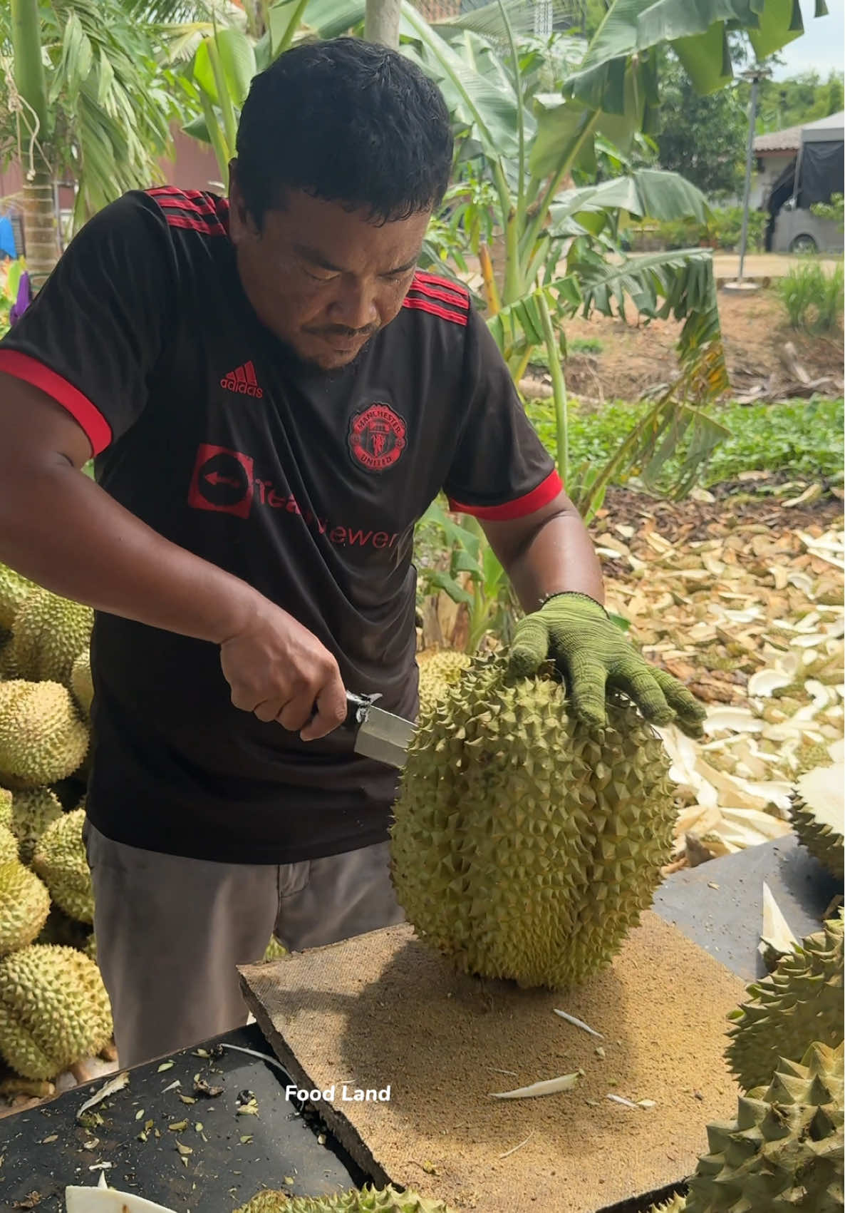 Crispy fried Durian, king of fruit! . Shop name: ทุเรียนทอดนันท์นภัส 📍Location: Ta Khan, Ban Khai, Rayong, Thailand 📲: 082-487-0023, 092-505-1624 @.durianfriednantnapat2  #asmr #foodland #fruit 