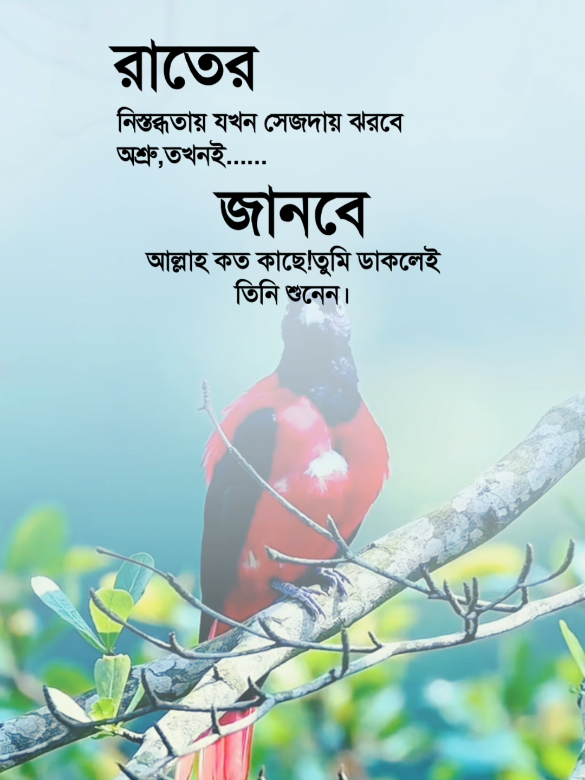 #সবাই_একটু_সাপোর্ট_করবেন_প্লিজ #its_me_saddam_vai_33 #foryou #foryoupage #viral #viralvideo #bdtiktokofficial @TikTok @For You @TikTok Bangladesh 