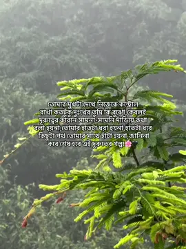তুমি কি আমার দুঃখ কতটুকু বুঝো,জানিনা কবে শেষ হবে এই দূরুতের গল্প! 🌸🖤 #fypシ゚ #foryoupagе #tiktokbangladesh #trading_video #vairalvideo #plzunfrezemyaccount #plzgrowmyaccount #stutas_video🦋🦋 #fyppppppppppppppppppppppp #plzforyoupage #foryouofficial  @TikTok Bangladesh @For You @TikTok  @🌸Tanziina Mohammad🌸 