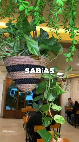 @selvfish.chiclayo es el restaurante que atiende 24hrs del dia los fines de semana que nos dejó mas que satisfechos, @El Memorex  😌 . 992627844 Direccion: Av Grau # 138 / Frente al Ex Molino de Piedra . Horarios: Lunes a Viernes de 11am a 8am Sabados y Domingos: las 24hrs . . #resturante #ceviche #chaufa #selva #comidamarina #restaurante24horas #chiclayo #cix #chiclayoperu🇵🇪❤