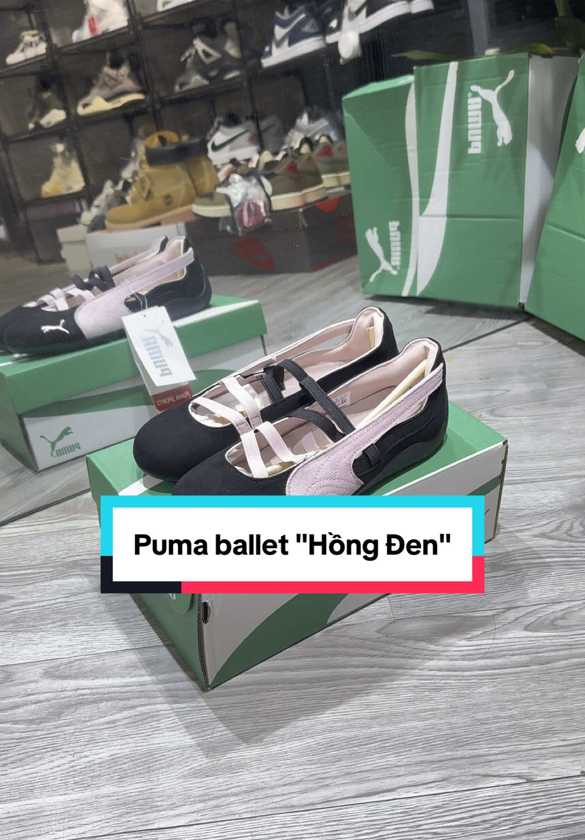Puma ballet 
