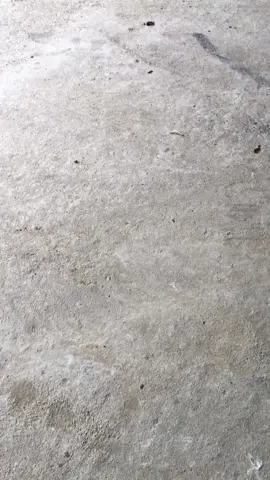 #sriuskieng #yamahasirius #2025tiktok 