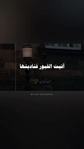 #مبروك_زيد_الخير #الدكتور_مبروك_زيد_الخير #الشيخ_مبروك_زيد_الخير 