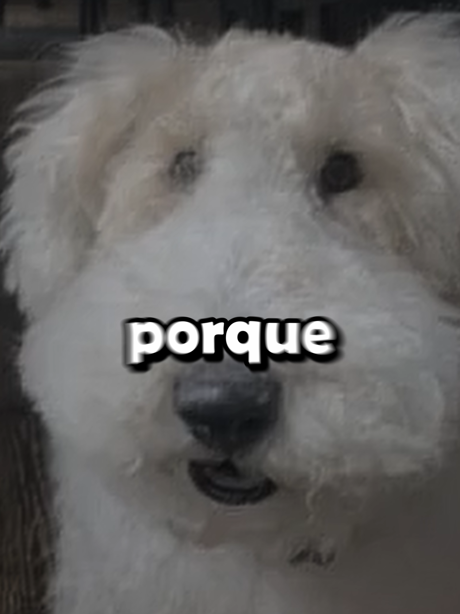 me gusta tu cuerpo #fyp #robloxfyp #humor #psicologia #terrorifico #viralvideos