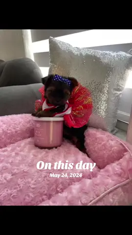#onthisday 