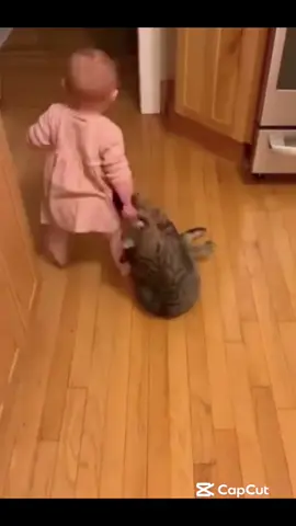 Baby’s vs cats 🐈 🤣🤣🤣😂😂😂😂😂😝😝😝😝…. #fyppppppppppppppppppppppp #babiesoftiktok #trending #fypviral #babyfunny #cat #sofunny😂 #fypageシ #veryfunnyvideo😂😁😁 #goviral #trends #catsoftiktok #babylove #comedia #fun 