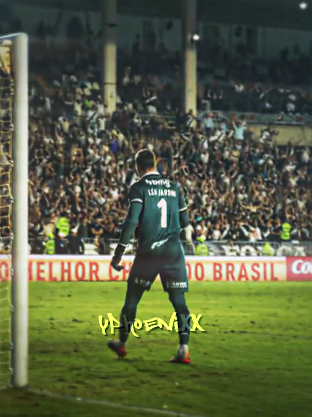 O melhor goleiro do Brasil 💢 #leojardim #edit #vasco #crvg #pumapjl 