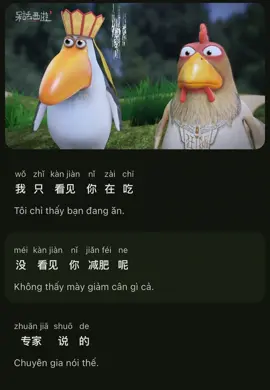 Tây du ngốc nghếch Tập: Như vậy cũng gọi là giảm cân??? Phần 1 và cái kết đau bụng🤣🤣🤣#tiengtrungmoingay #tuhoctiengtrung #videotiengtrung #videotiengtrunghaihuoc #tiengtrunghaihuoc #tayduky #taydungocnghech #