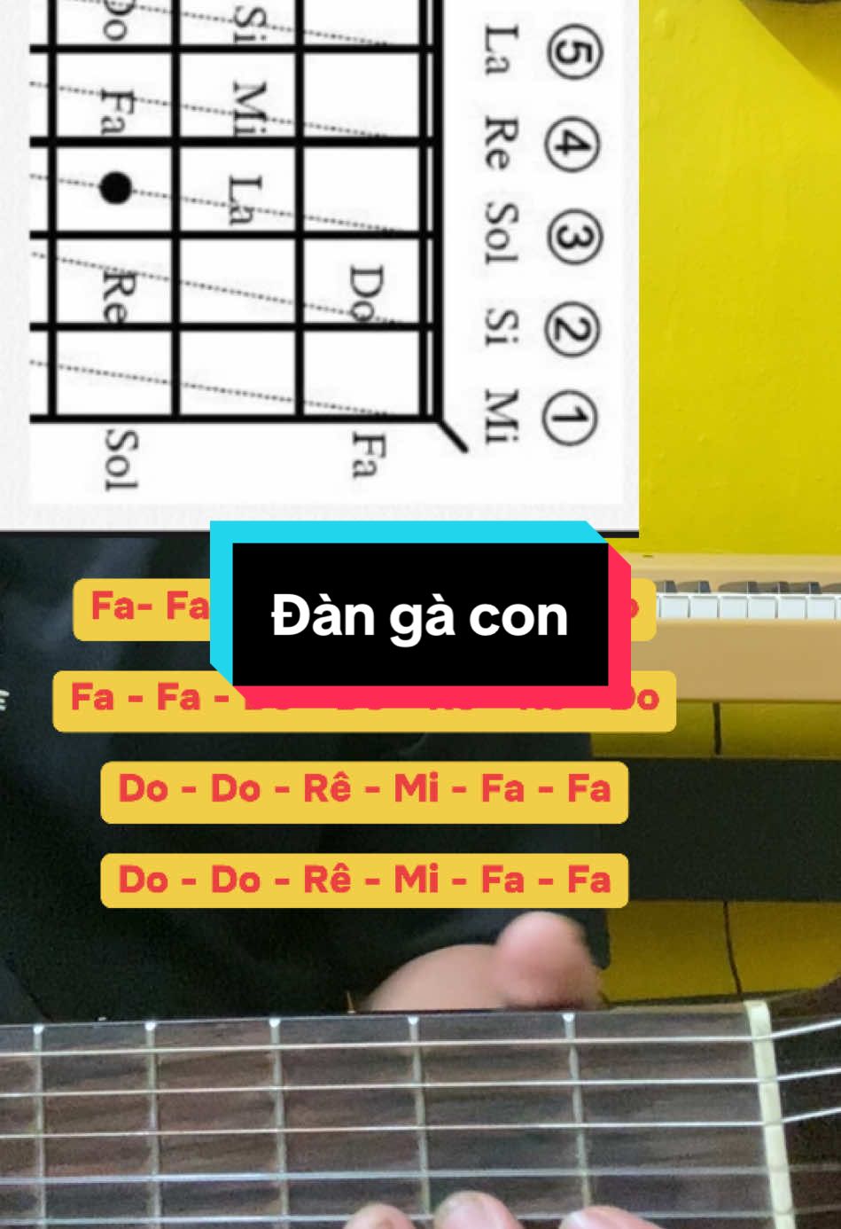 Cách chơi Guitar bài : Đàn gà con #guitartok #guitar #tuhocguitar #
