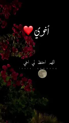 اللهم احفظ لي اخي 💛 #اليوم_العالمي_للاخ #اخوي #الاخ #الاخ_سند #اخواني_الله_يحفظهم #اخواني #اكسبلور #اكسبلورexplore #اللهم_احفظ_لي_اخي #تصميم_عن_الاخ #الاخ_نعمه_من_نعم_الله #دعاء_الاخ #الاخوات_نعمة 