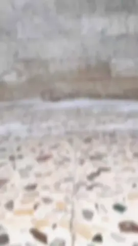 نطير بجناح الفراشة 🦋💞