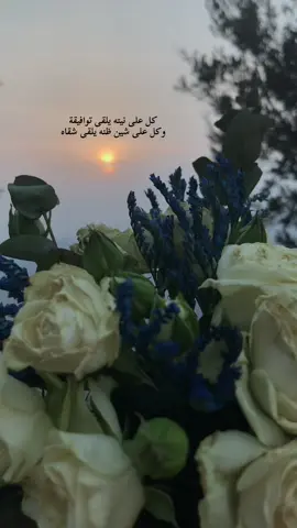 كل على نيته يلقى توافيقة  وكل على شين ظنه يلقى شقاه#خواطر_من_القلب #خواطر_لها_معنى #خواطر077 #عبارات_جميلة🦋💙 #الماضي_الجميل #الماضي_الجميل_لايعود_أبدا #fyp #fyp #درر #اقتباسات #الطبيعة 