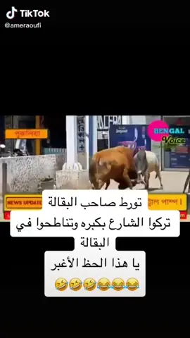 #اكسبلور #fyp #🤣🤣🤣🤣🤣🤣🤣🤣 