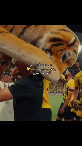 الاثنين احنا بنسطر التاريخ🐅💛 #اتحادي_للأبد #explore #الاتحاد #fyp 