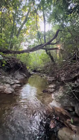 Espia pro céis vê que lindo é a natureza #paz #zonarural_go 