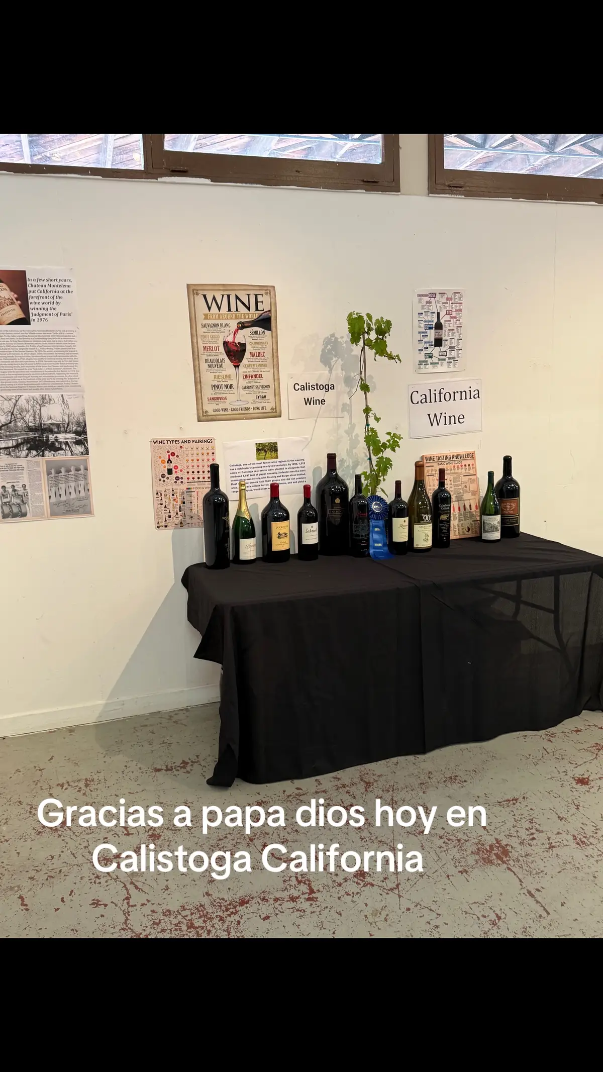 #napa #ayalafarm #piedadayala #fresnostateuniverdidad #ayalafarmspiedadayala #viral #paratiiiiiiiiiiiiiiiiiiiiiiiiiiiiiii #paratiiiiiiiiiiiiiiiiiiiiiiiiiiiiiii #fuerzaregidaoficial #hermanosespinoza #virgendeguadalupe 