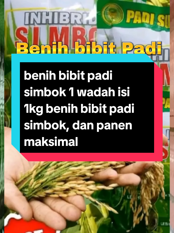 benih bibit padi simbok satu wadah isi 1kg benih padi simbok #padi #padisimbok #padisimboksawah #benihpadi #benihpadisimbok #bibitpadisimbok 