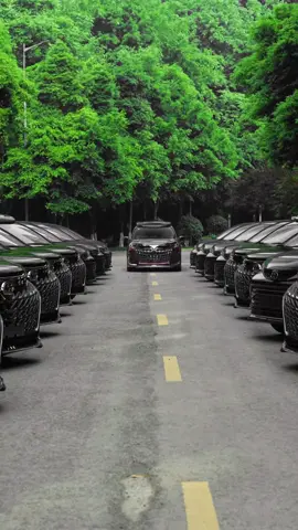 #Immersive Experience # Toyota Senna # Gravia#Toyota#Sienna#granvia#ToyotaSienna#Toyotagranvia#Siennamodification#granviamodification#sienna 