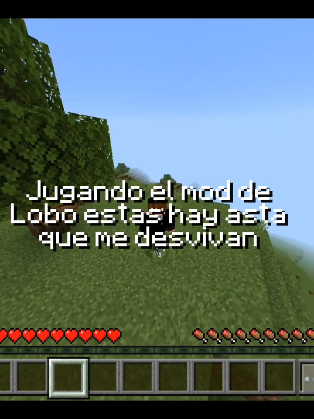 Mi primer gameplay 😁 #Minecraft #memes #minecraftmemes #gameplay #gabrielXMC 