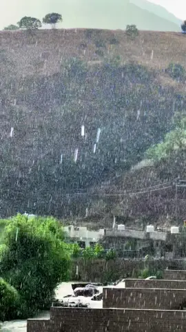 باران بارینی ئەمرۆ باڵەکایەتی لێرە ئیستا بەهارە 🌧️🌳📸 #باران #rain #foryoupageofficiall #foryou #virał #fypage 
