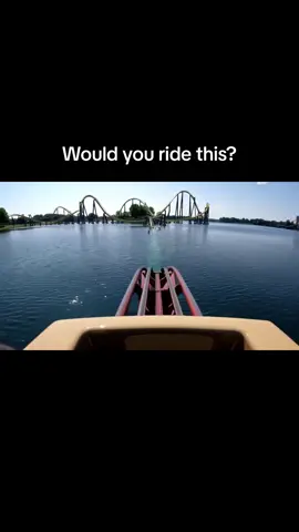 Insane roller coaster#fypages #rollercoastertiktok #trending 