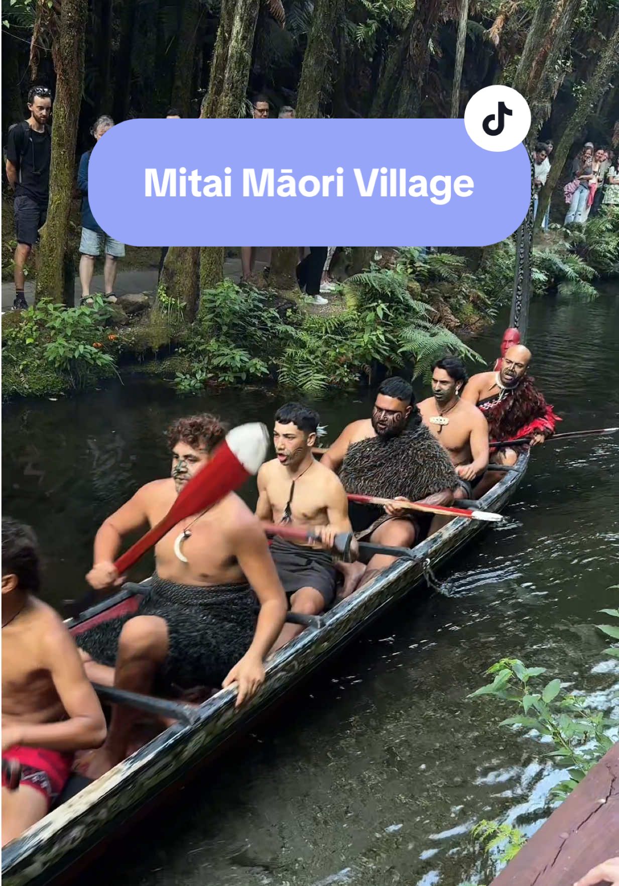 Here’s what it was like to visit Mitai Māori Village in Rotorua #travel #traveltok #solotravel #solofemaletraveler #blackgirltiktok #blacktravel #blackwomentravel #blacktravelfeed  #blacksolotravel #bipoctravel #woctravel #newzealand #aotearoa 